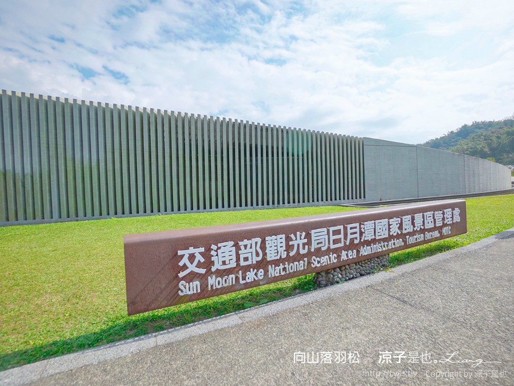 向山落羽松 日月潭自行車道 湖畔 落羽松步道 日月潭景點推薦 IG打卡 南投親子