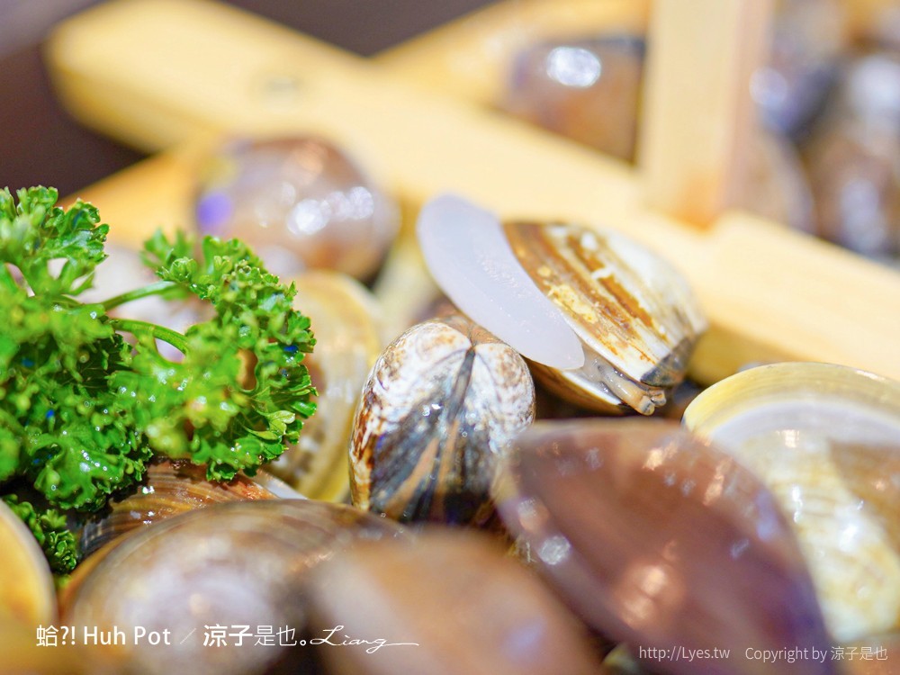 蛤 Huh Pot 菜單 台中公益路美食 火鍋餐廳 浮誇系卜卜蜆蛤蜊火鍋 港式料理