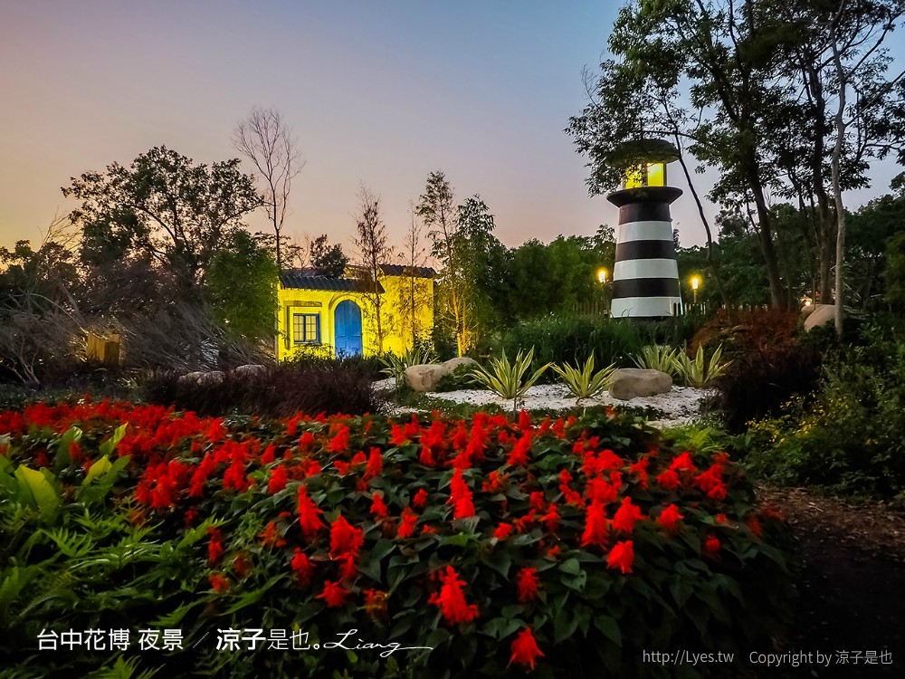台中花博 夜景