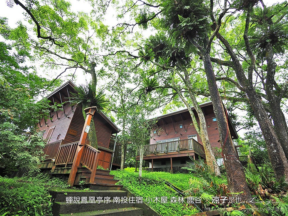 蟬說鳳凰亭序 南投住宿 小木屋 森林 鹿谷