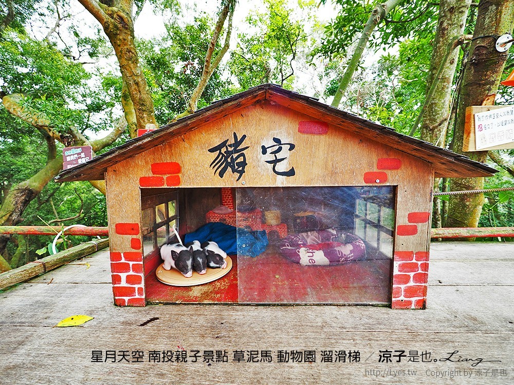 星月天空 南投親子景點 草泥馬 動物園 溜滑梯