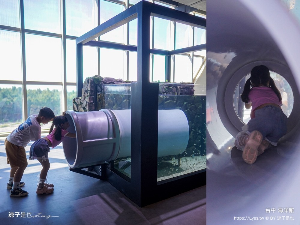 台中海洋館 門票優惠 交通 八大展區 免費票 台中親子景點 台中景點推薦 懶人包 攻略 必看特色