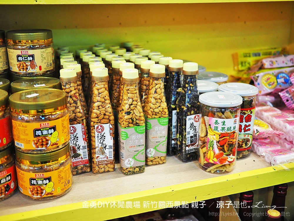 金勇DIY休閒農場 新竹關西景點 親子