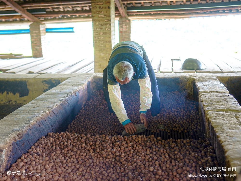 仙湖農場 仙湖休閒農場 住宿房型 台南民宿 早餐 餐廳 菜單 無邊際泳池 小動物 親子飯店 台南景點 龍眼