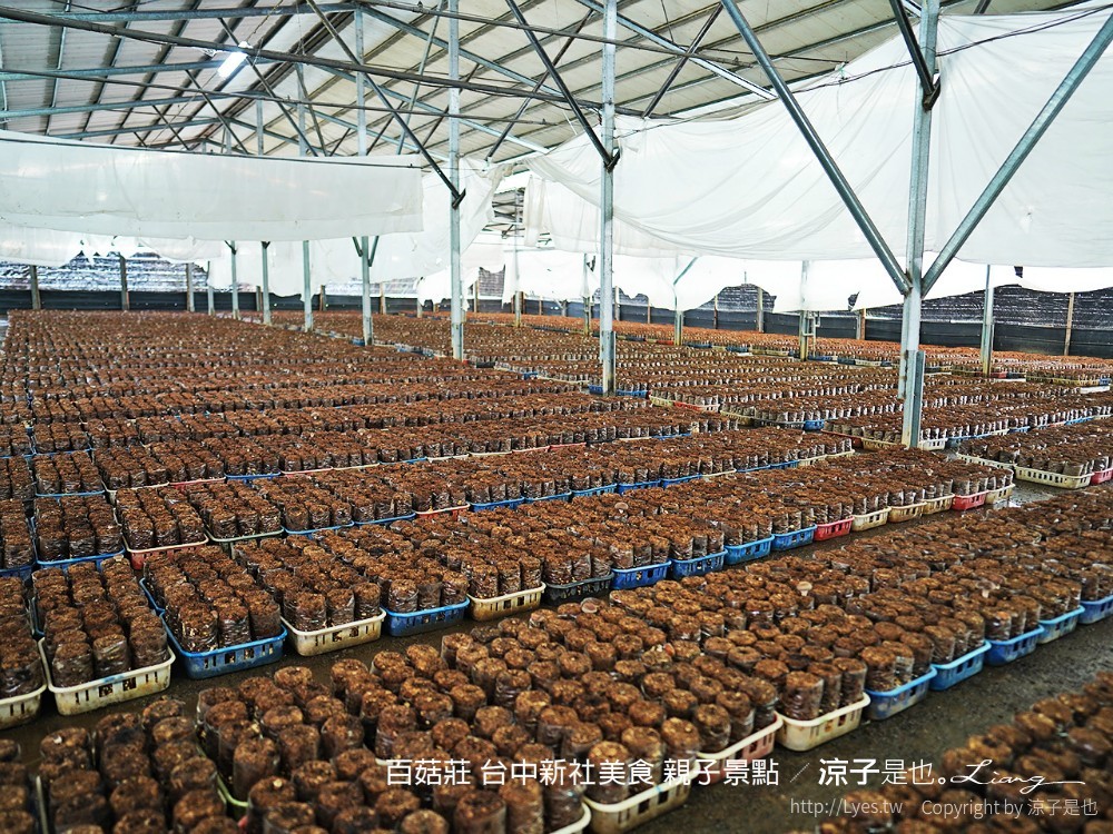 百菇莊 台中新社美食 親子景點