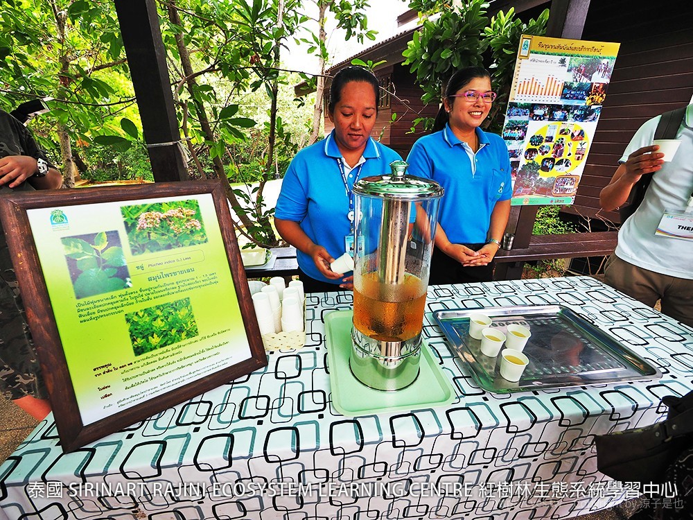 泰國 SIRINART RAJINI ECOSYSTEM LEARNING CENTRE 紅樹林生態系統學習中心