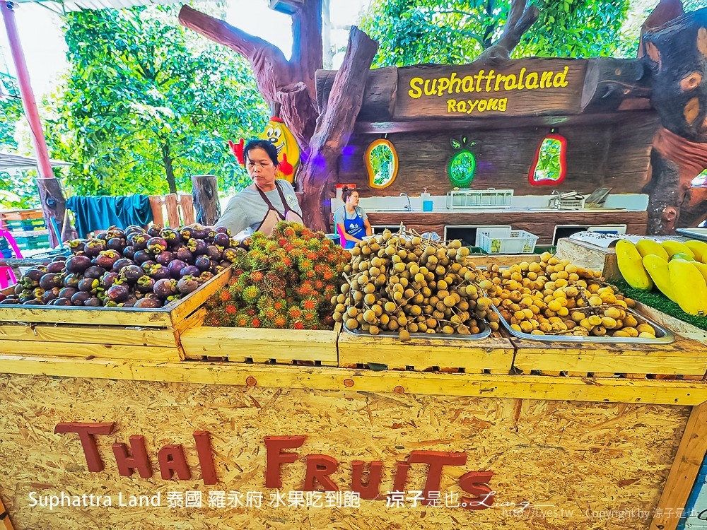 suphattra land 泰國 羅勇府 水果吃到飽