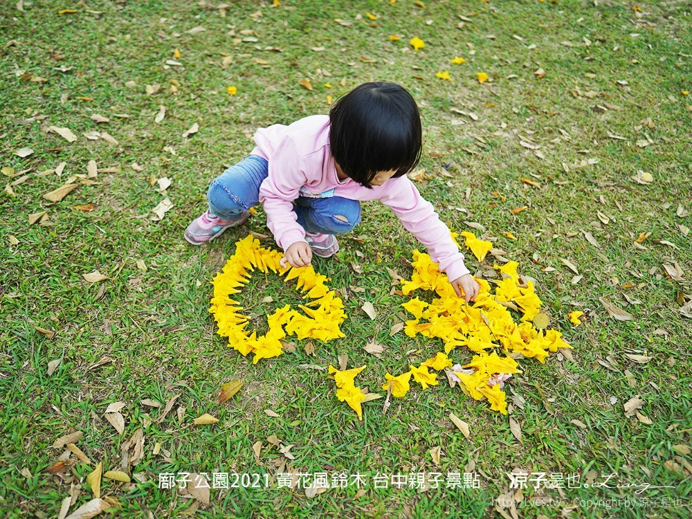 廍子公園2021 黃花風鈴木 台中親子景點