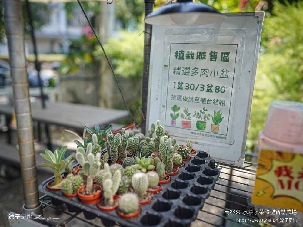 萬客來水耕蔬菜微型智慧農場 菜單 台南餐廳 台南美食 玻璃屋餐廳 台南景觀餐廳 早午餐