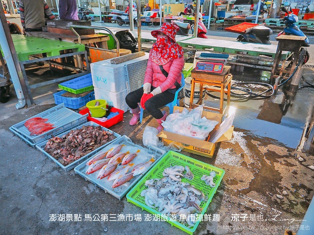 澎湖景點 馬公第三漁市場 澎湖旅遊 魚市搶鮮趣
