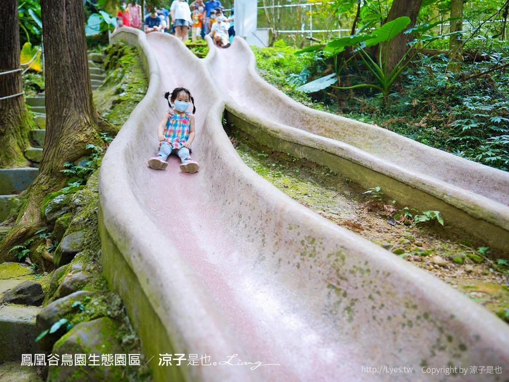鳳凰谷鳥園生態園區 南投 親子景點 森林溜滑梯 賞鳥 DIY 鹿谷 步道 吊橋 瀑布