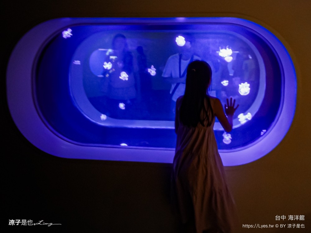 台中海洋館 門票優惠 交通 八大展區 免費票 台中親子景點 台中景點推薦 懶人包 攻略 必看特色