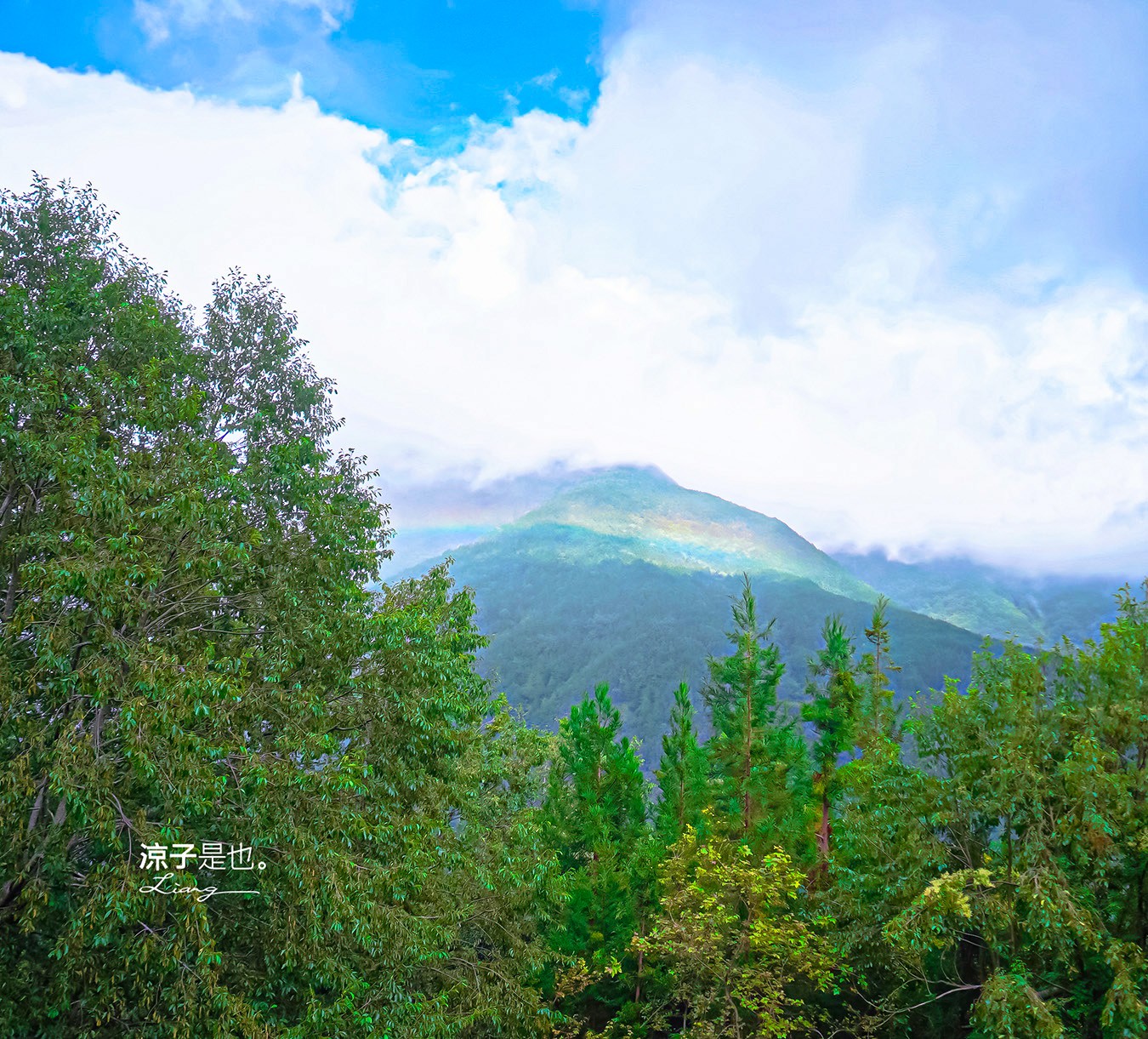 雪山登山口 服務站 武陵農場 天空之鏡 台中谷關景點 網美必拍 雪山登山口海拔