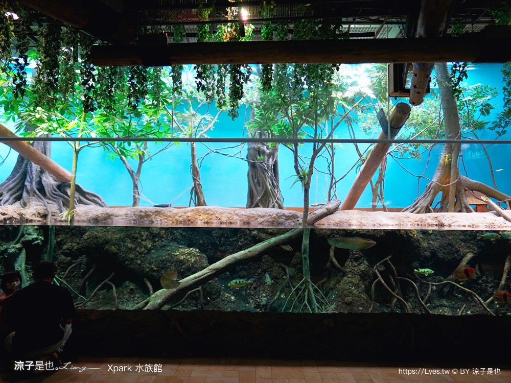 xpark水族館 門票優惠 桃園 親子景點 最新攻略 必看展區 美食餐廳 交通 停車 住宿