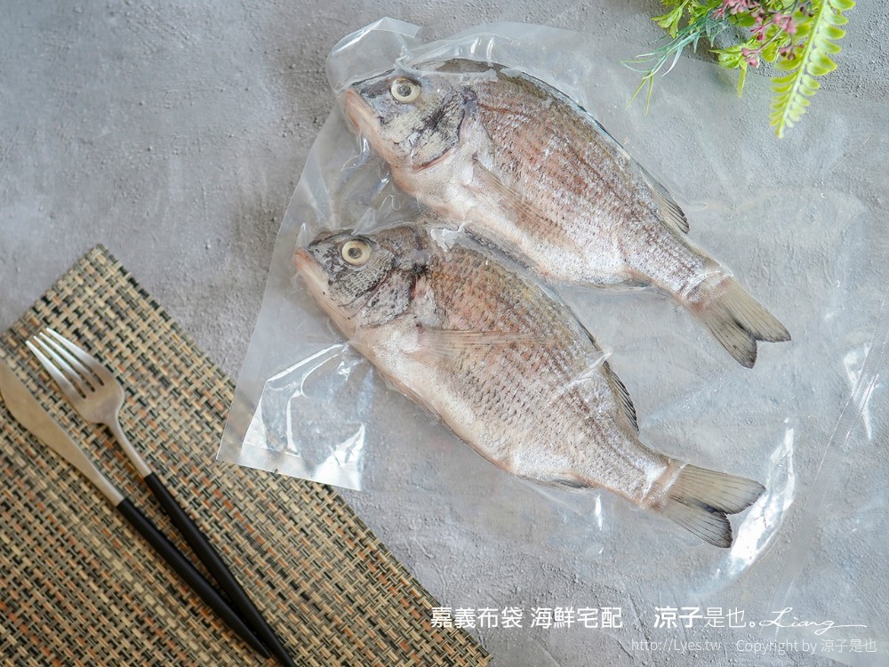 嘉義布袋美食 海鮮宅配 布袋陳船長 唐漢近海生物科技有限公司 好美農漁產 鮮魚 蝦 蟹 新鮮產地直送
