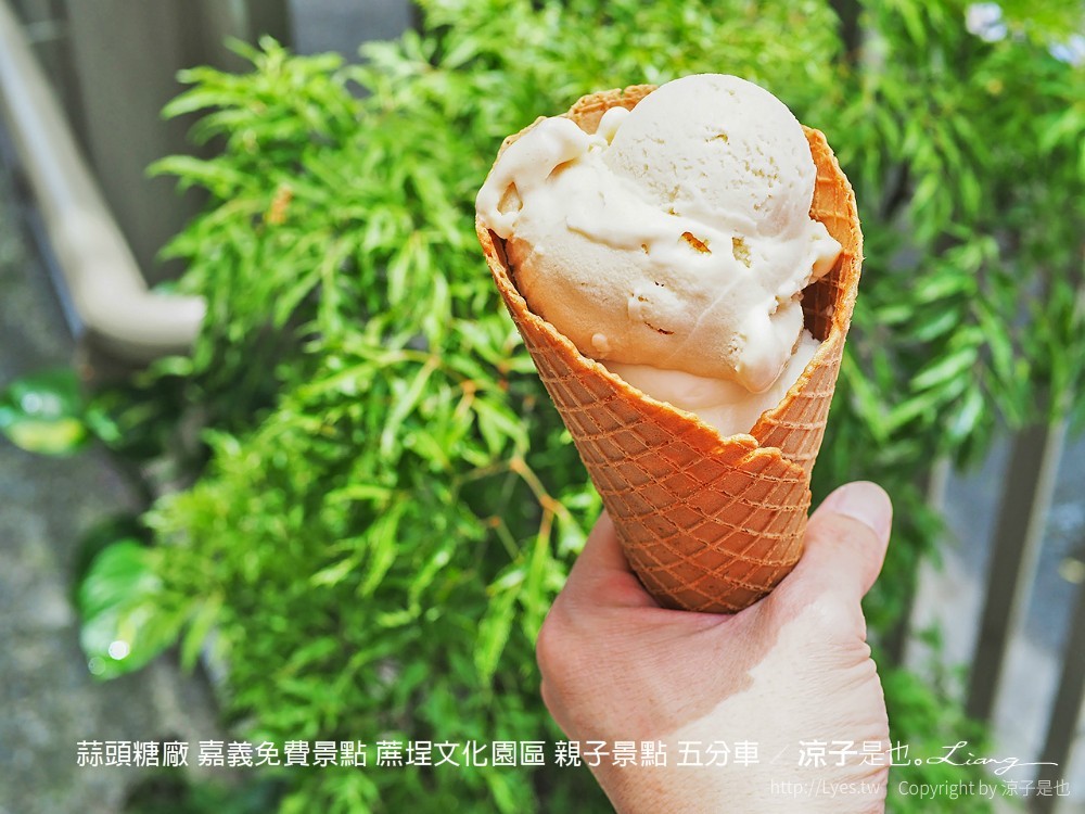 蒜頭糖廠 嘉義免費景點 蔗埕文化園區 親子景點 五分車