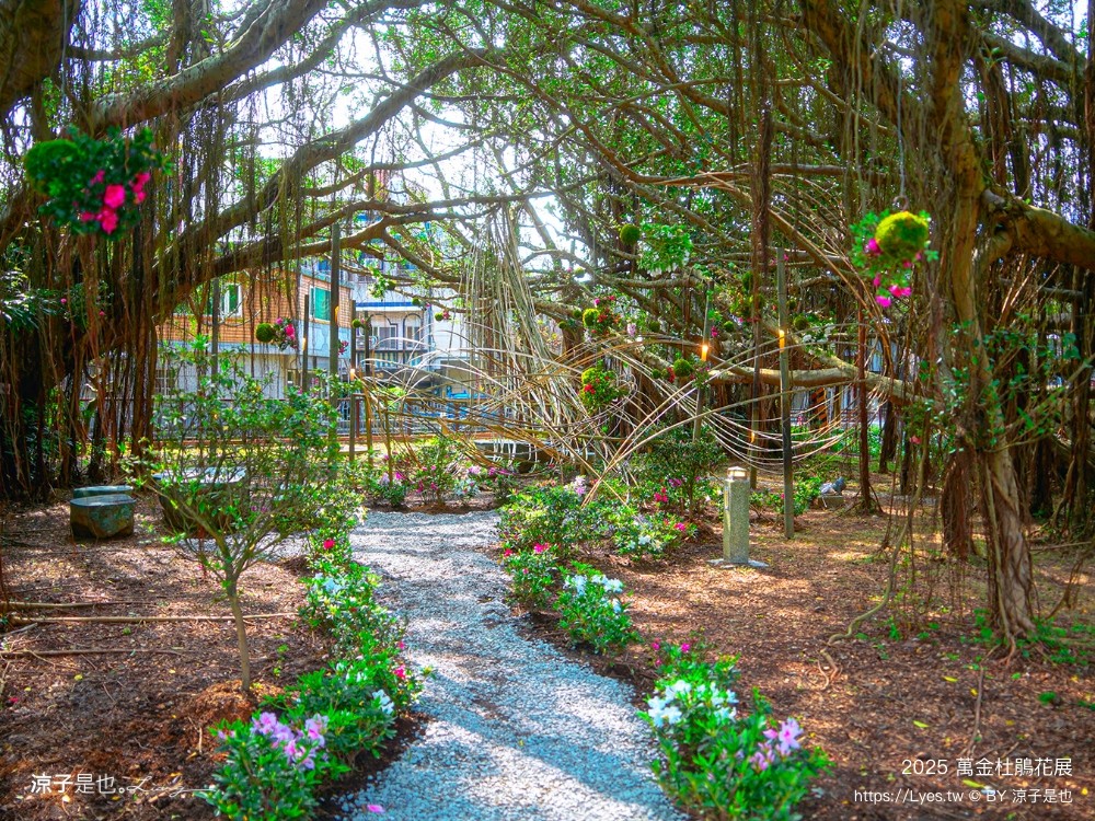 萬金杜鵑花展2025 金山中山溫泉公園 新北景點 北海岸活動 交通 展期 花藝造景 打卡必拍 懶人包