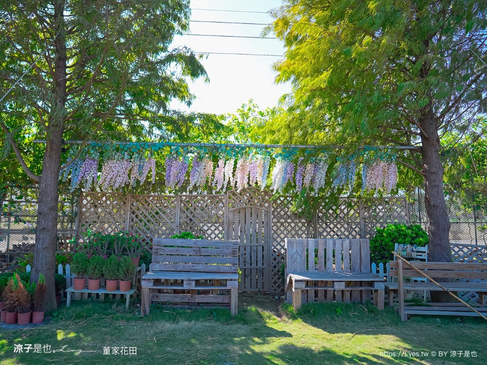 董家花田 菜單 門票 景點 彰化景點 田尾景觀餐廳 花海 戶外野餐 咖啡 交通