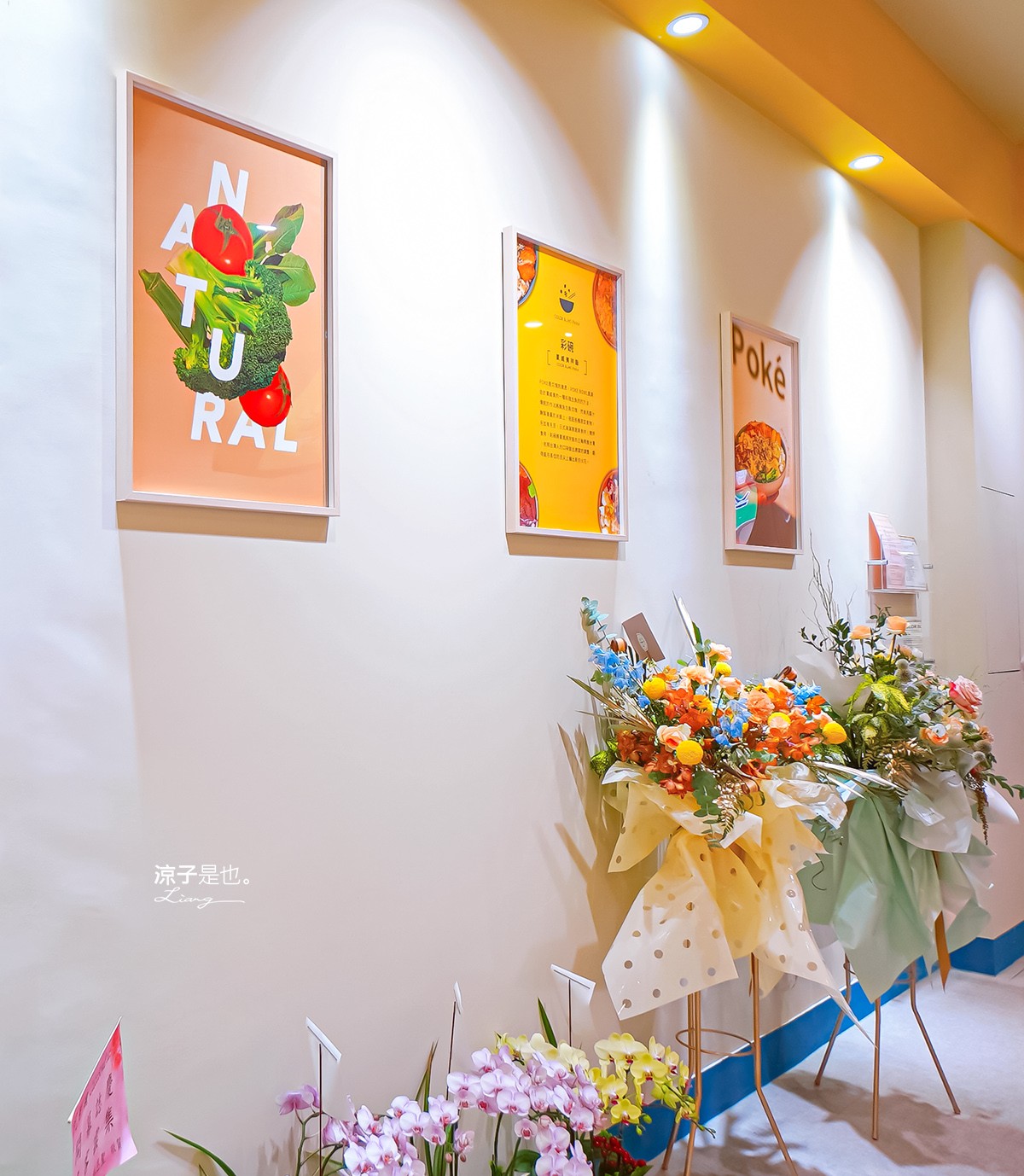 彩碗 菜單 台中北屯餐廳 北平路美食 健康便當 沙拉餐盒 夏威夷料理 新鮮原型食物 colorbowlpoke