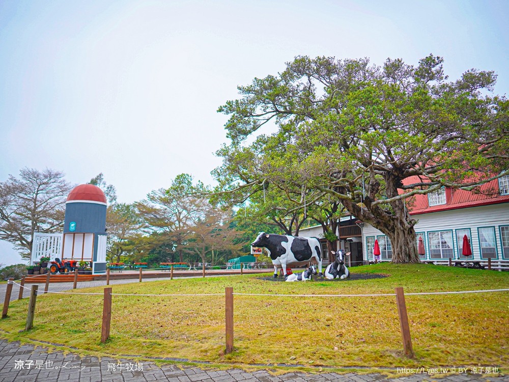 苗栗 飛牛牧場住宿 房型 早餐 四人房 2天1夜 園區門票 票價 苗栗親子飯店推薦