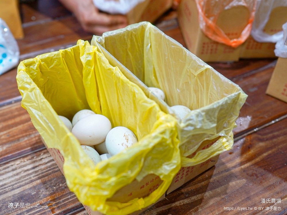 潘氏農場 屏東車城 親子景點 紅仁鴨蛋 鹹鴨蛋DFIY 屏東景點推薦 車城鹹鴨蛋老店推薦