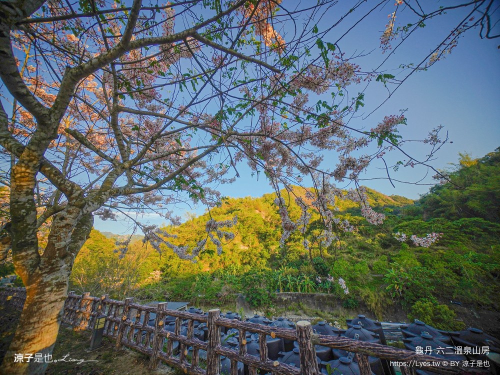 六二溫泉山房 龜丹溫泉住宿 台南溫泉飯店 大眾湯 湯屋 溫水脈衝池 溫水spa按摩池 台南親子住宿