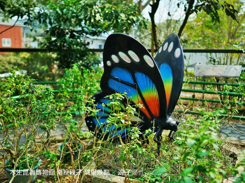 木生昆蟲博物館 南投親子 埔里景點