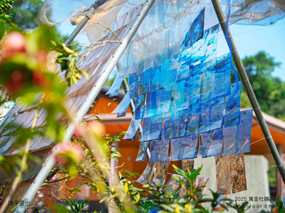 萬金杜鵑花展2025 金山中山溫泉公園 新北景點 北海岸活動 交通 展期 花藝造景 打卡必拍 懶人包