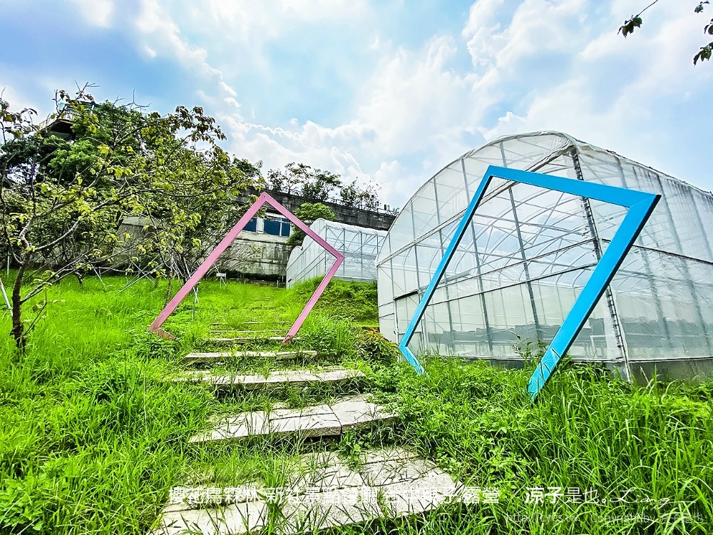 新社景點-櫻花鳥森林 迷你小火車x溜滑梯戲水區x鸚鵡放飛秀x露營 不止花好拍 親子旅遊也好玩！