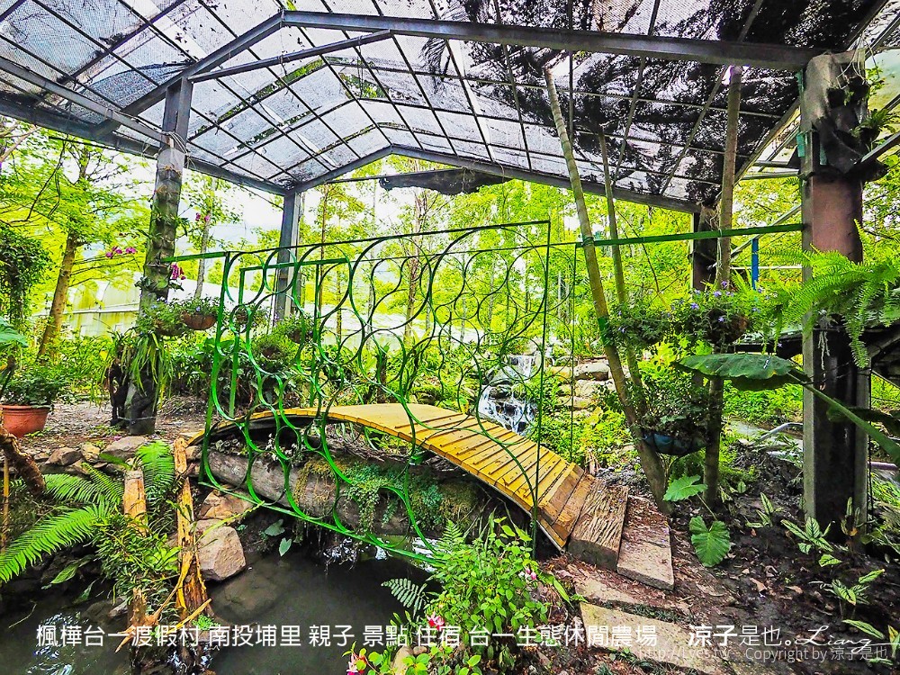 楓樺台一渡假村 南投埔里 親子 景點 住宿 台一生態休閒農場