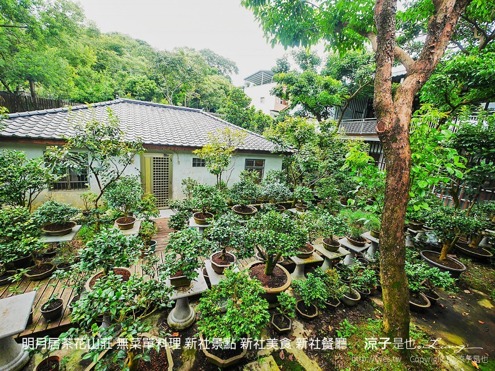 明月居茶花山莊 無菜單料理 新社景點 新社美食 新社餐廳