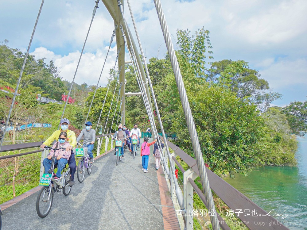 向山落羽松 日月潭自行車道 湖畔 落羽松步道 日月潭景點推薦 IG打卡 南投親子