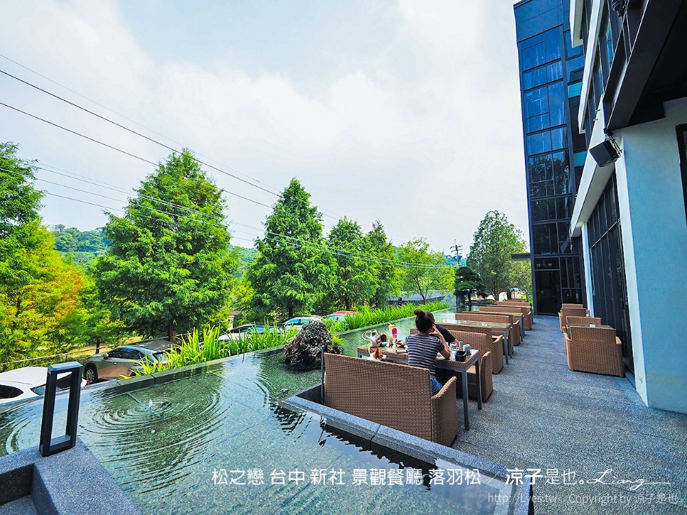 松之戀 台中 新社 景觀餐廳 落羽松