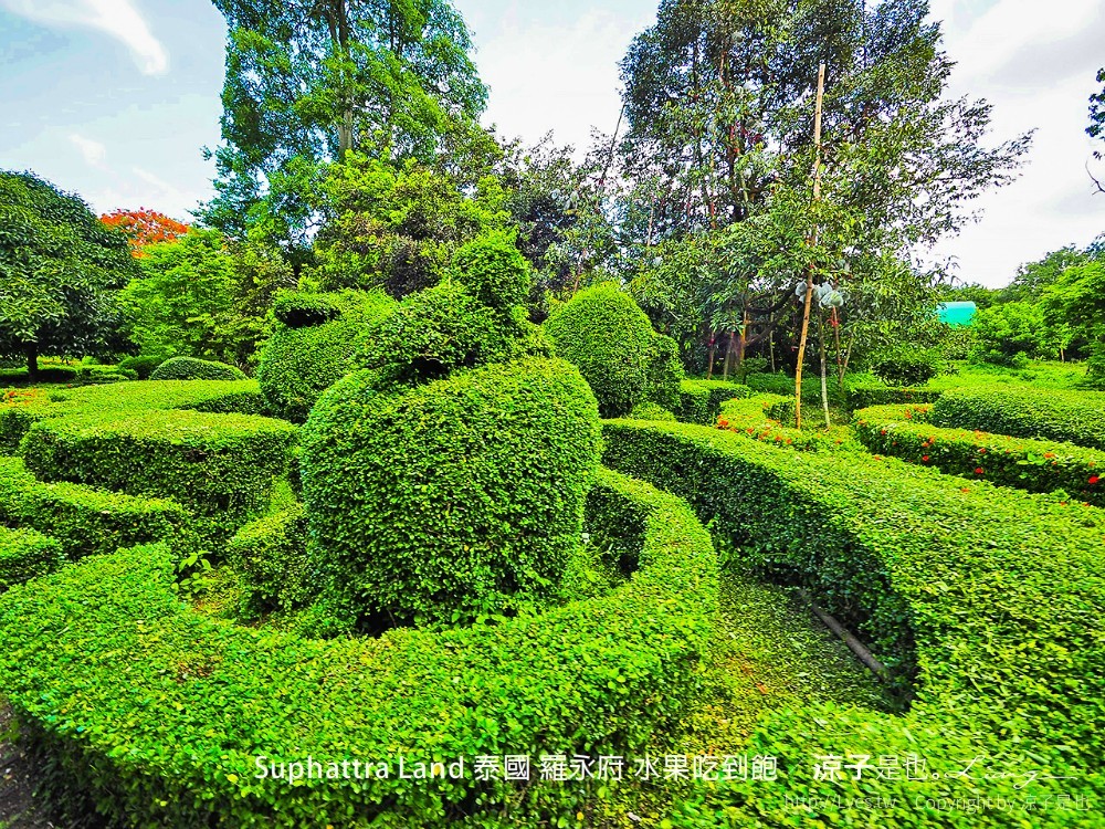 suphattra land 泰國 羅勇府 水果吃到飽