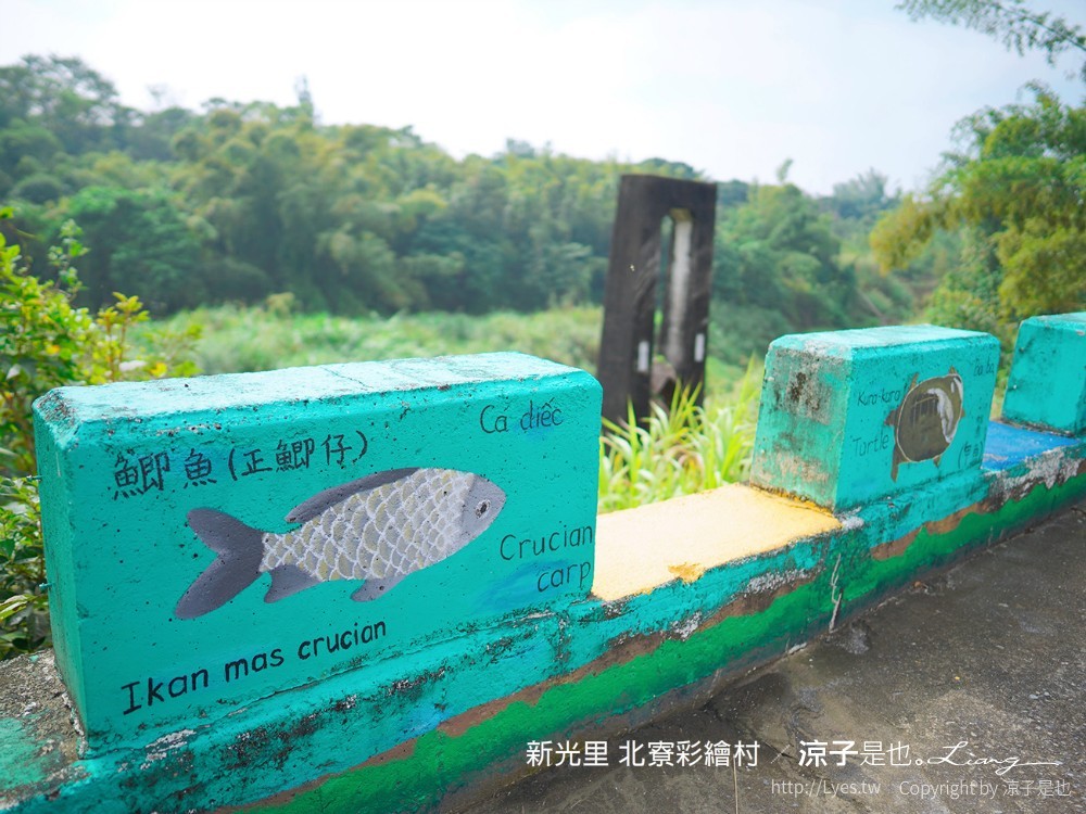 新光里北寮彩繪村 台南關廟 免門票 親子景點 田園藝術 關廟彩繪村