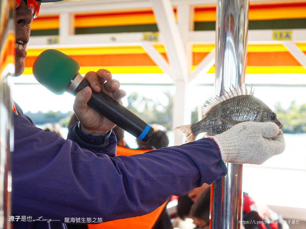 龍海號生態之旅 台南七股景點 台南景點 烤蚵吃到飽 親子景點 台南生態旅遊