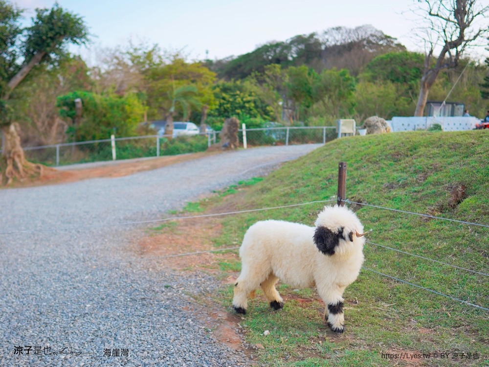 海崖灣 菜單 門票 屏東關山夕陽 墾丁景點 親子景點 墾丁海景 水豚君 草泥馬 笑笑羊
