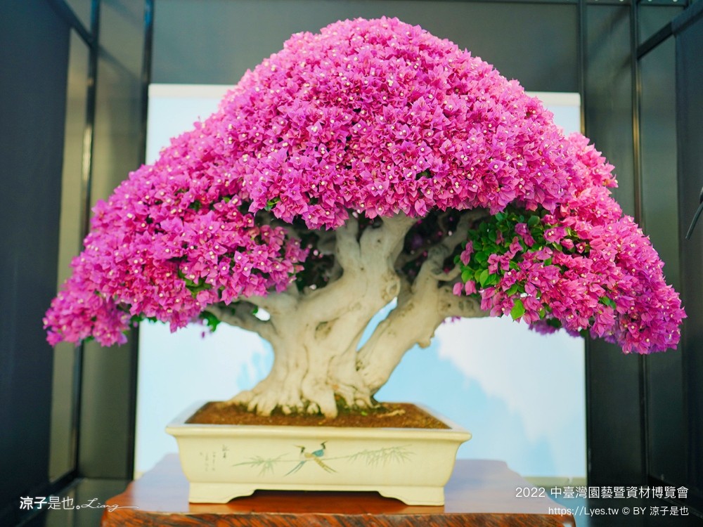 2022中臺灣 氣墊遊戲區 溜滑梯戲水池 農產品展售 美食小吃