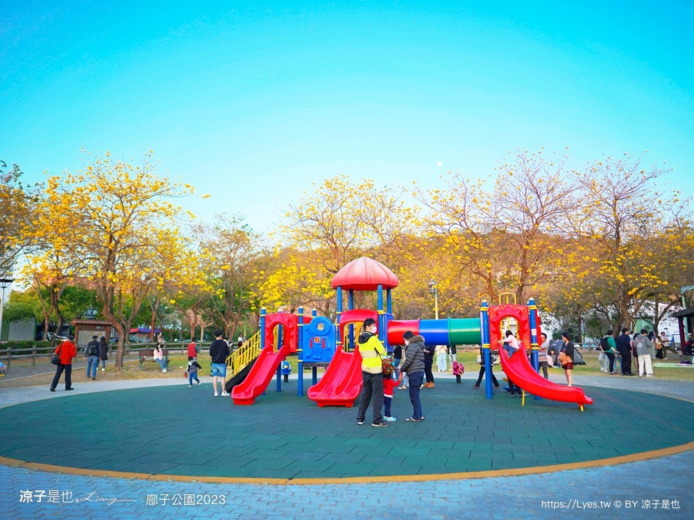 廍子公園2023 黃金風鈴木 台中親子景點 野餐 賞花