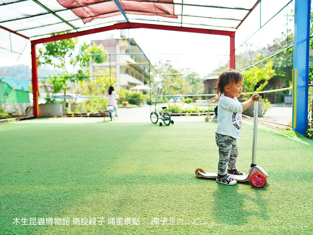 木生昆蟲博物館 南投親子 埔里景點