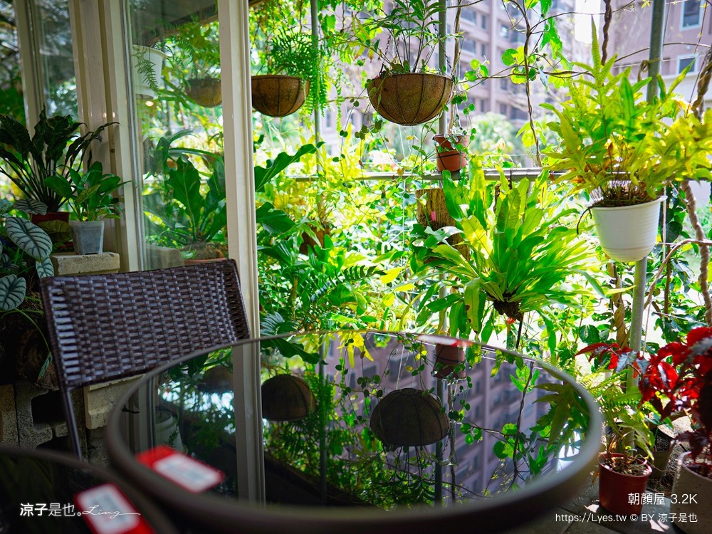 朝顏屋32k 菜單 桃園早午餐 桃園咖啡館 森林系溫室餐廳 披薩 桃園下午茶 隱藏版 貝果 停車 鐵路咖啡