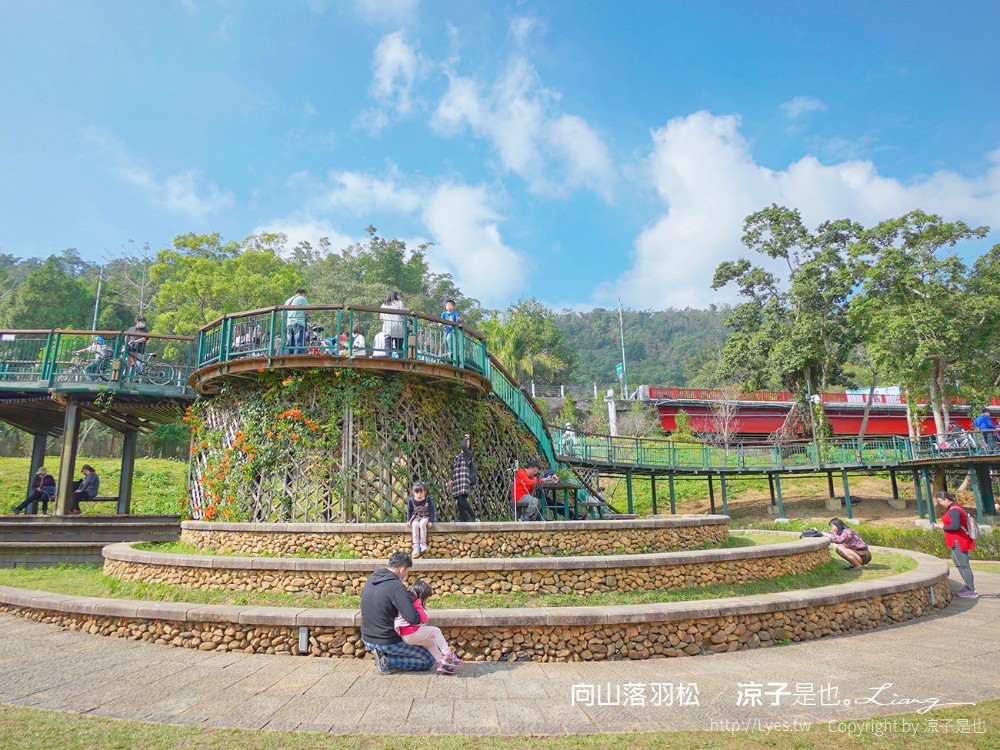 向山落羽松 日月潭自行車道 湖畔 落羽松步道 日月潭景點推薦 IG打卡 南投親子