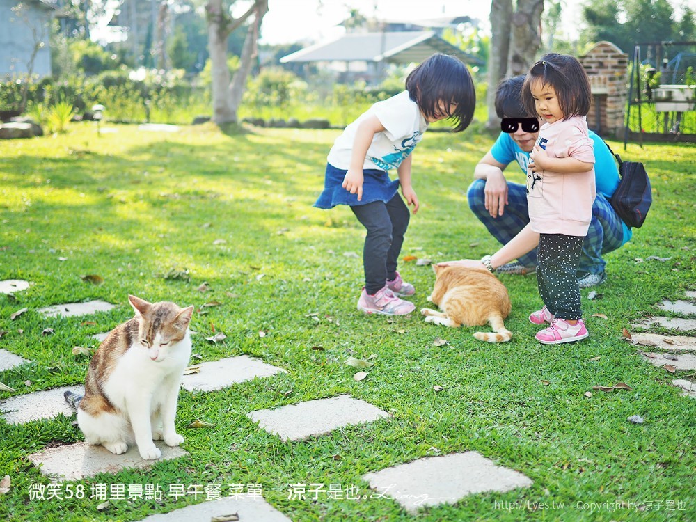 微笑58 埔里景點 早午餐 菜單 民宿 住宿 餐廳 美食 親子景點 貓咪