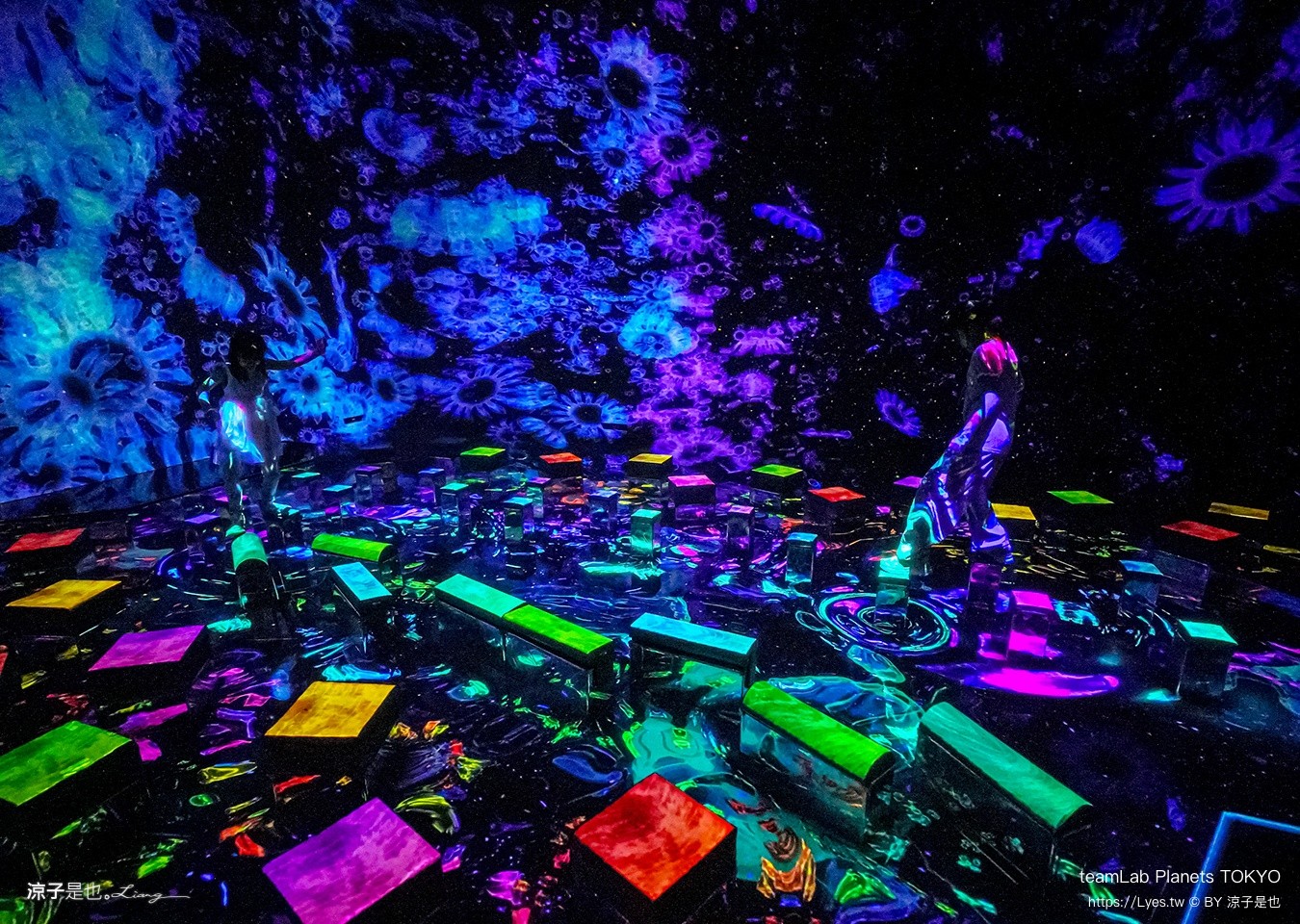 teamLab Planets TOKYO 東京teamLab 豐洲teamLab 東京景點 日本自由行