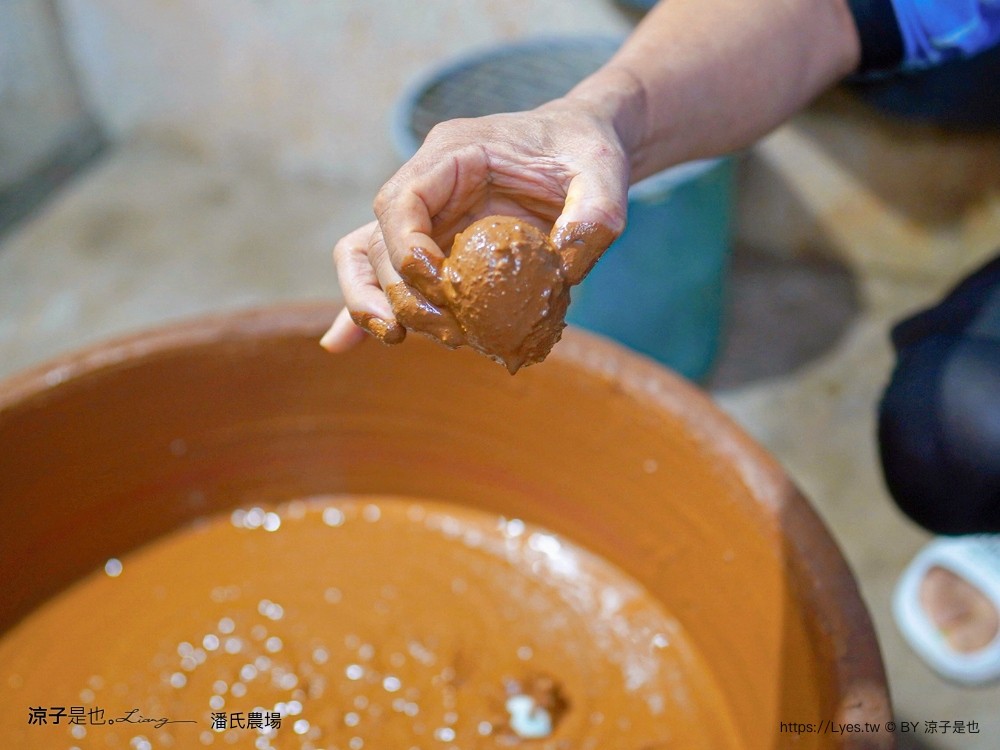 潘氏農場 屏東車城 親子景點 紅仁鴨蛋 鹹鴨蛋DFIY 屏東景點推薦 車城鹹鴨蛋老店推薦