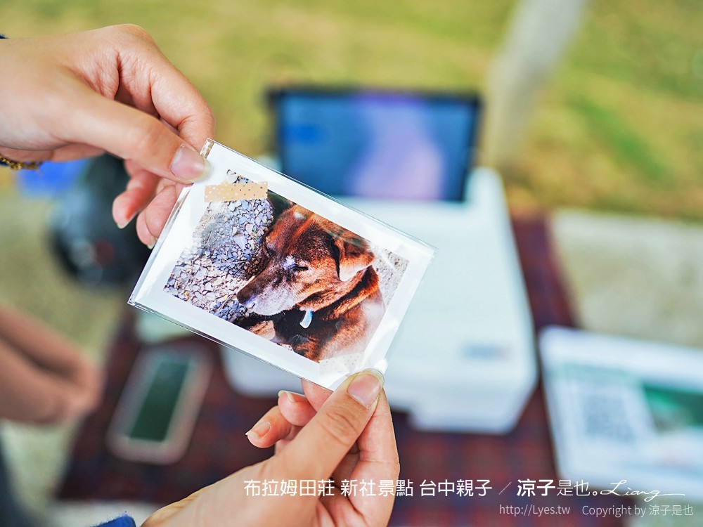 布拉姆田莊 新社景點 台中親子景點 新社美食 親子DIY 台中景點 台中親子景點 DIY活動