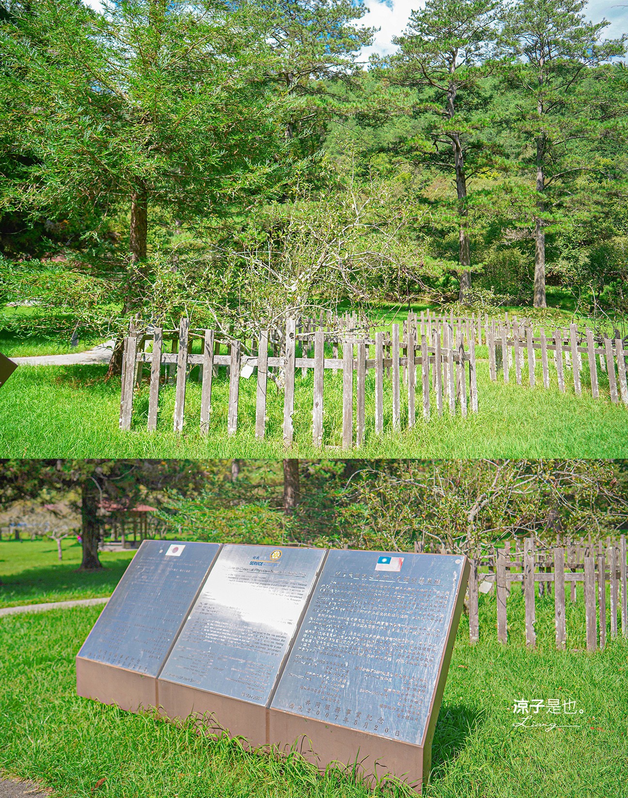 福壽山農場怎麼玩 武陵農場攻略 2022臺中購物節 一日遊 二日遊 門票 民宿房型 住宿 露營 蘋果 楓葉