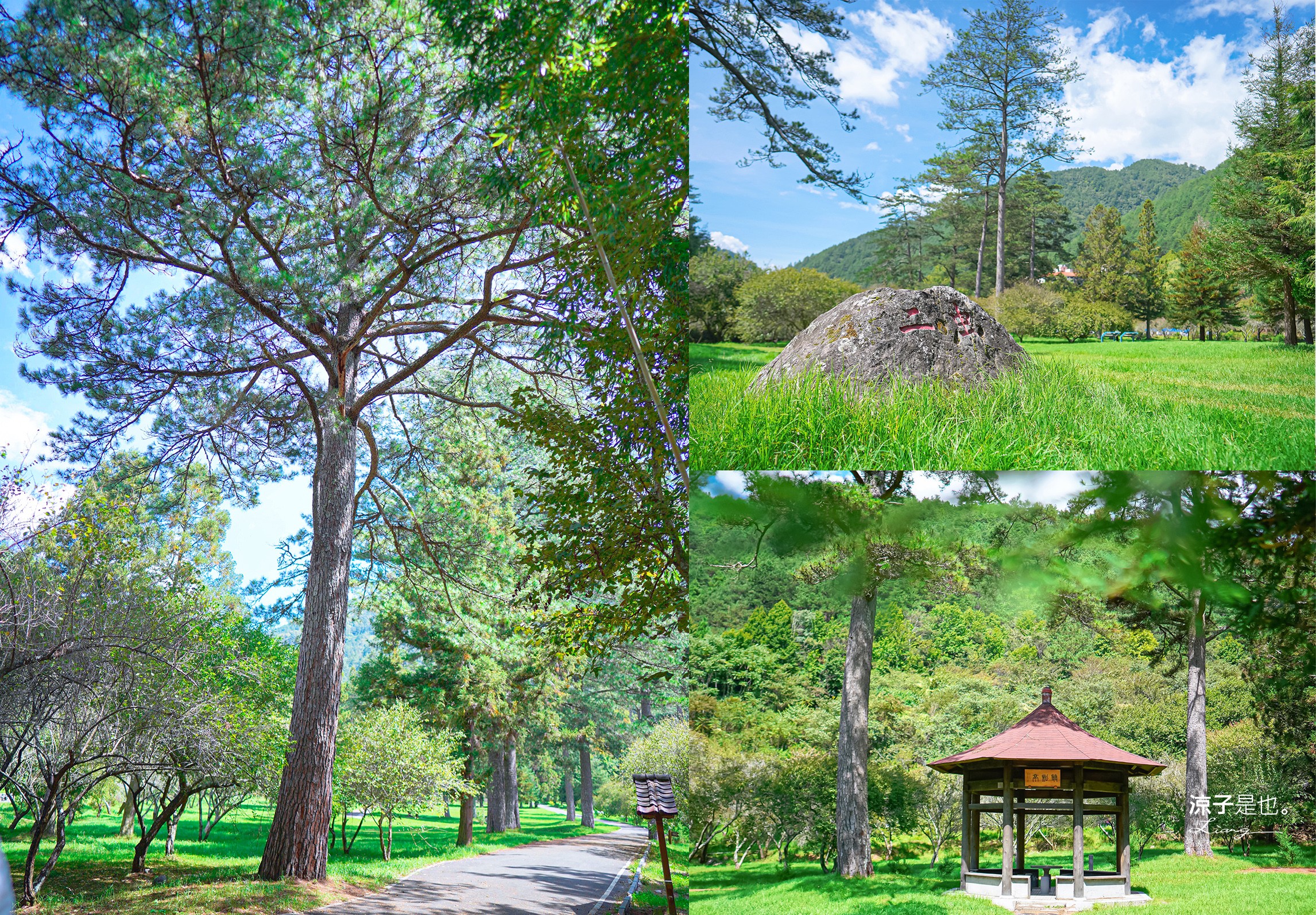 福壽山農場怎麼玩 武陵農場攻略 2022臺中購物節 一日遊 二日遊 門票 民宿房型 住宿 露營 蘋果 楓葉