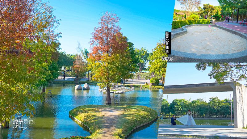 【雲林景點】澄霖沉香味道森林館 免門票參觀 愛心落羽松、湖畔步道、水之教堂 日式襌風庭院好好拍呀