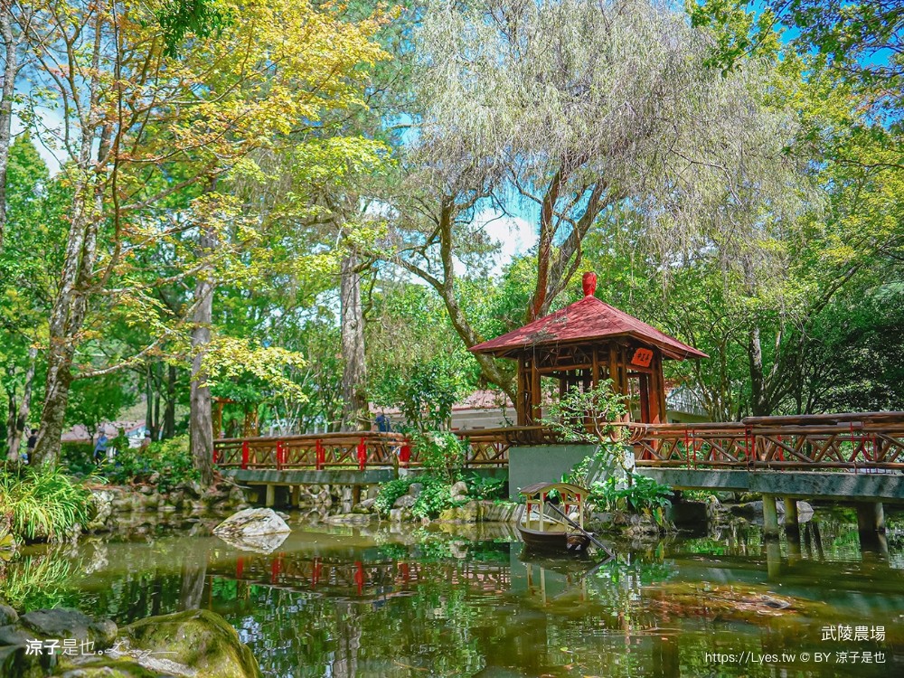 福壽山農場 民宿房型 住宿 露營 賞楓